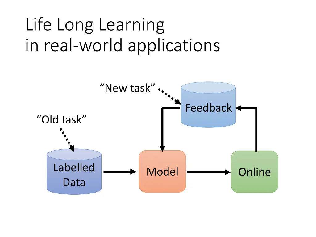 life long learning in real world applications