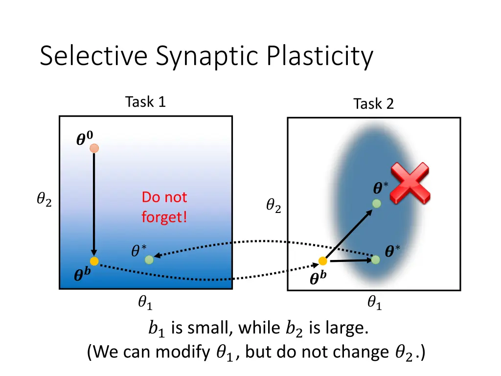 selective synaptic plasticity 3