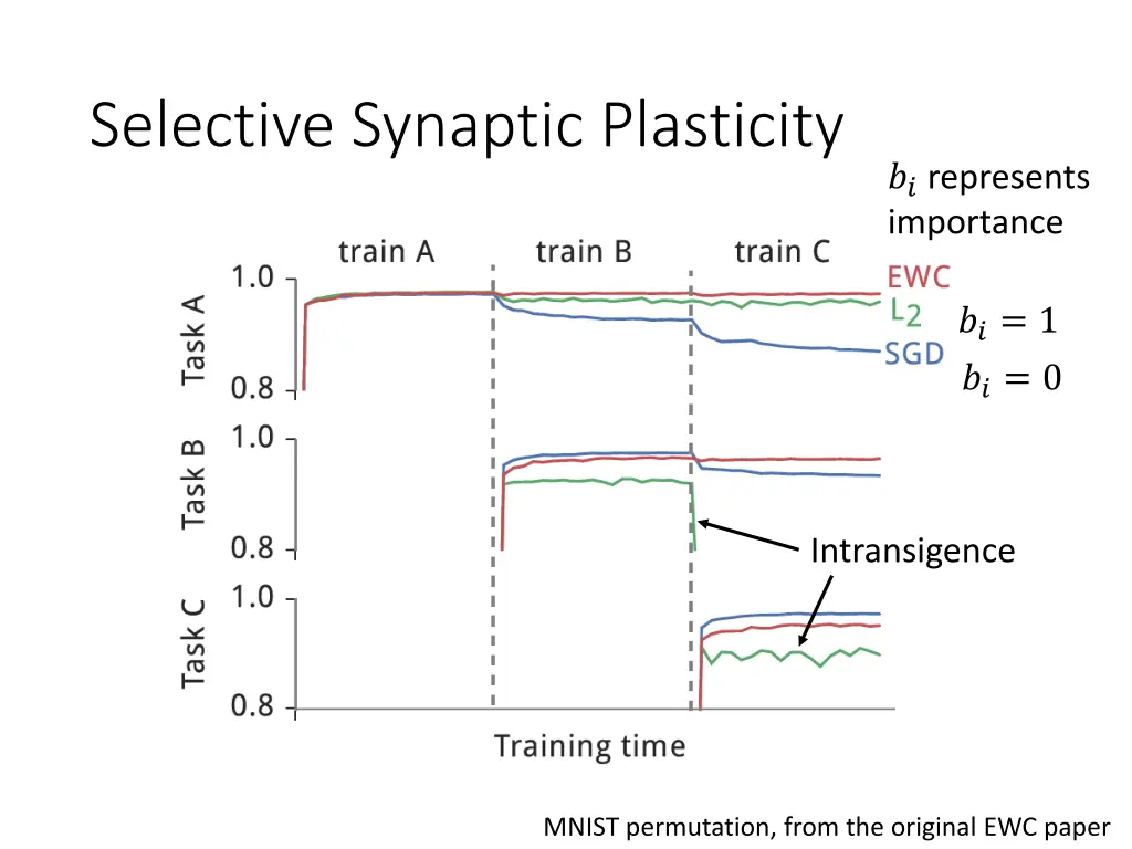 selective synaptic plasticity 4