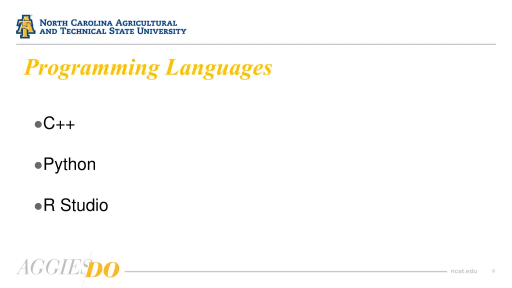 programming languages