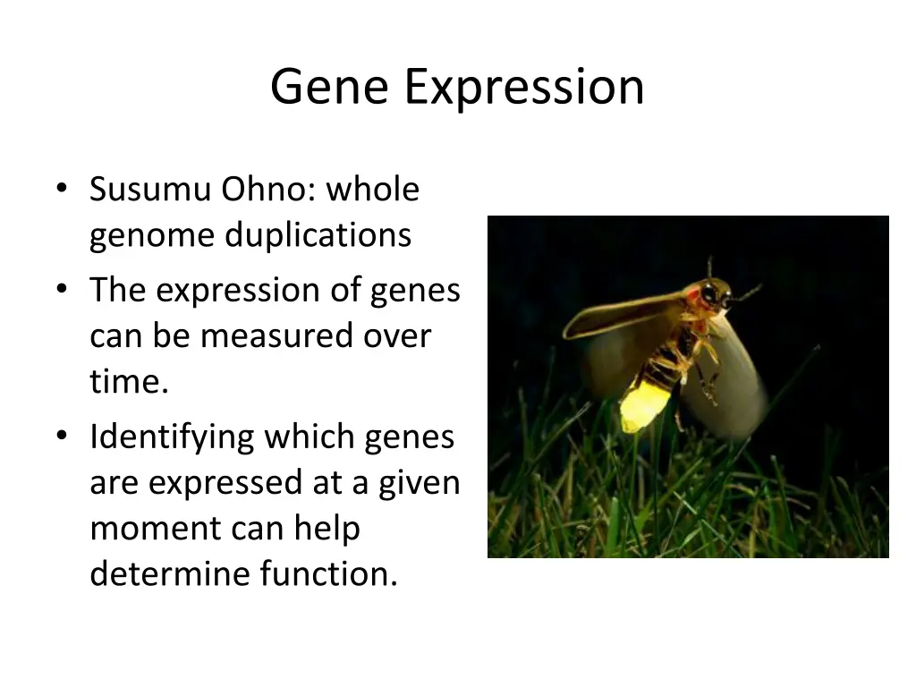 gene expression
