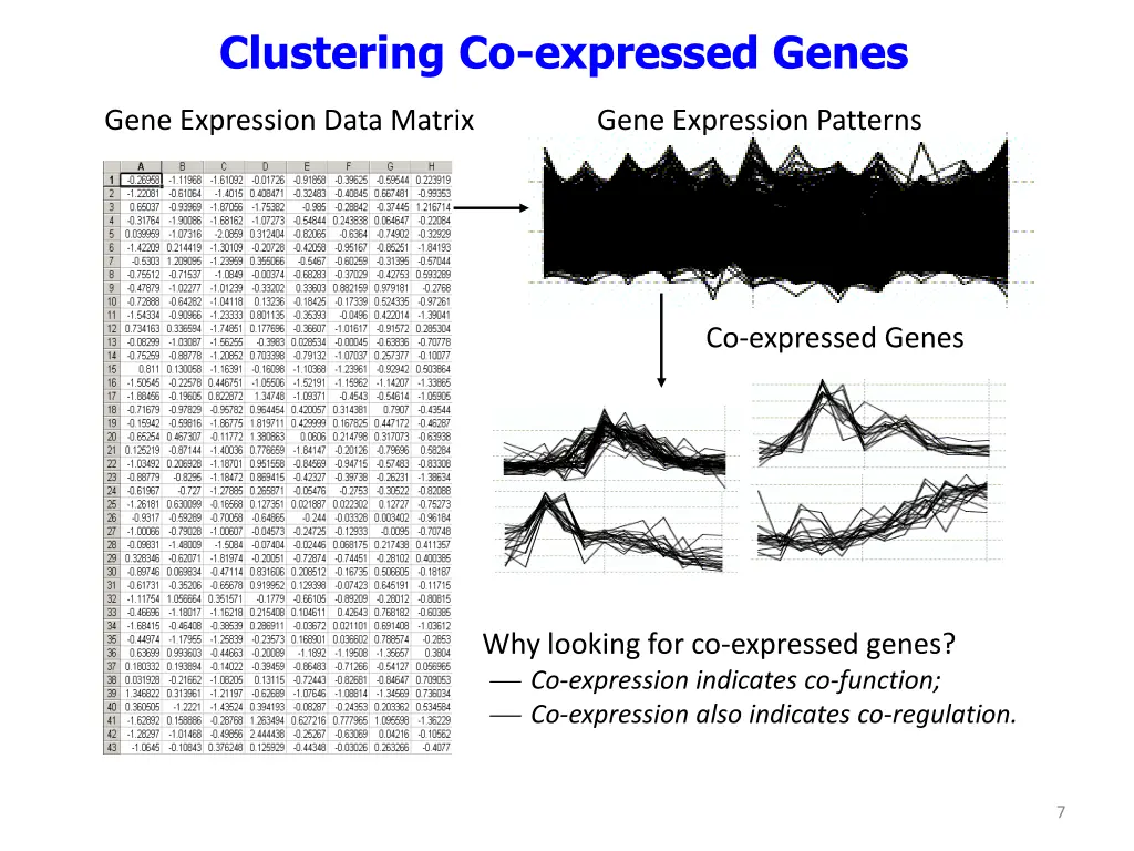 clustering co expressed genes