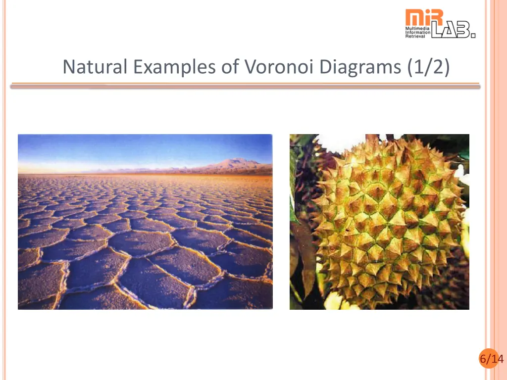 natural examples of voronoi diagrams 1 2