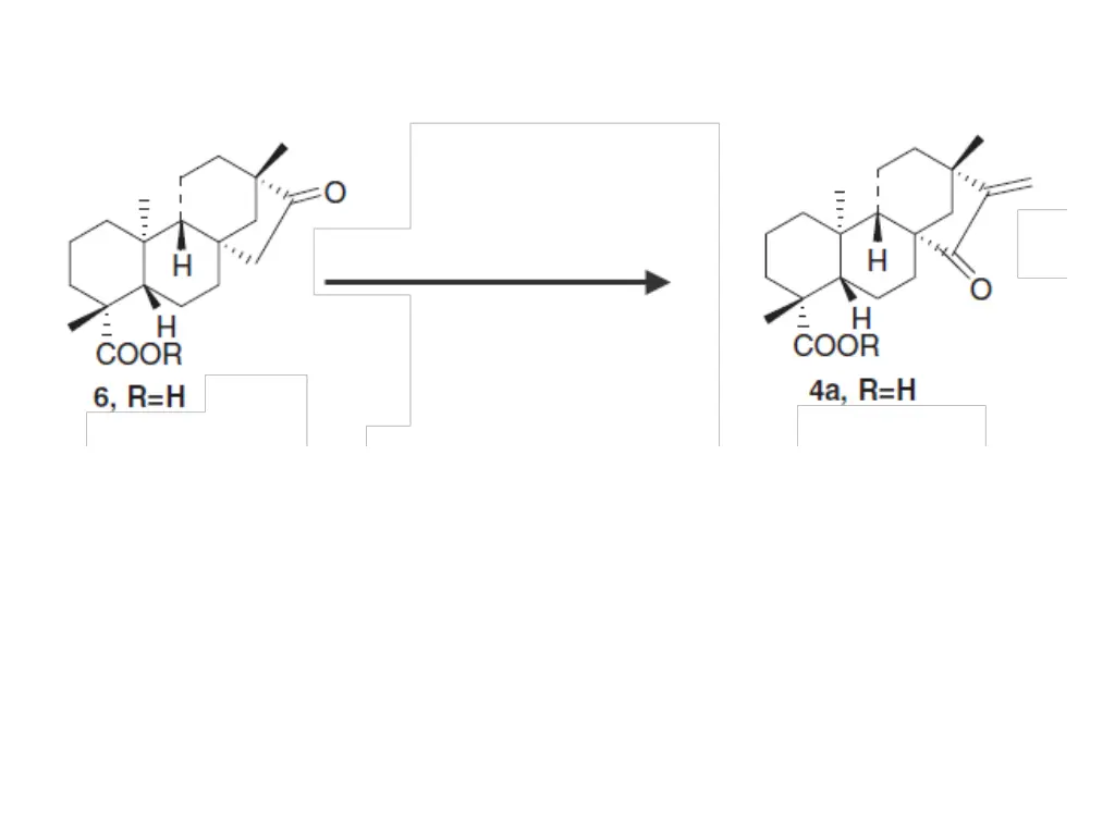 slide10