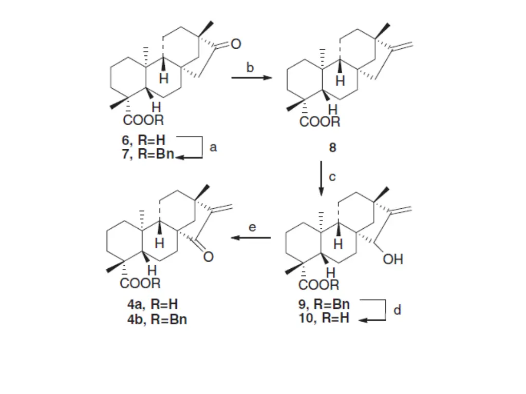 slide11
