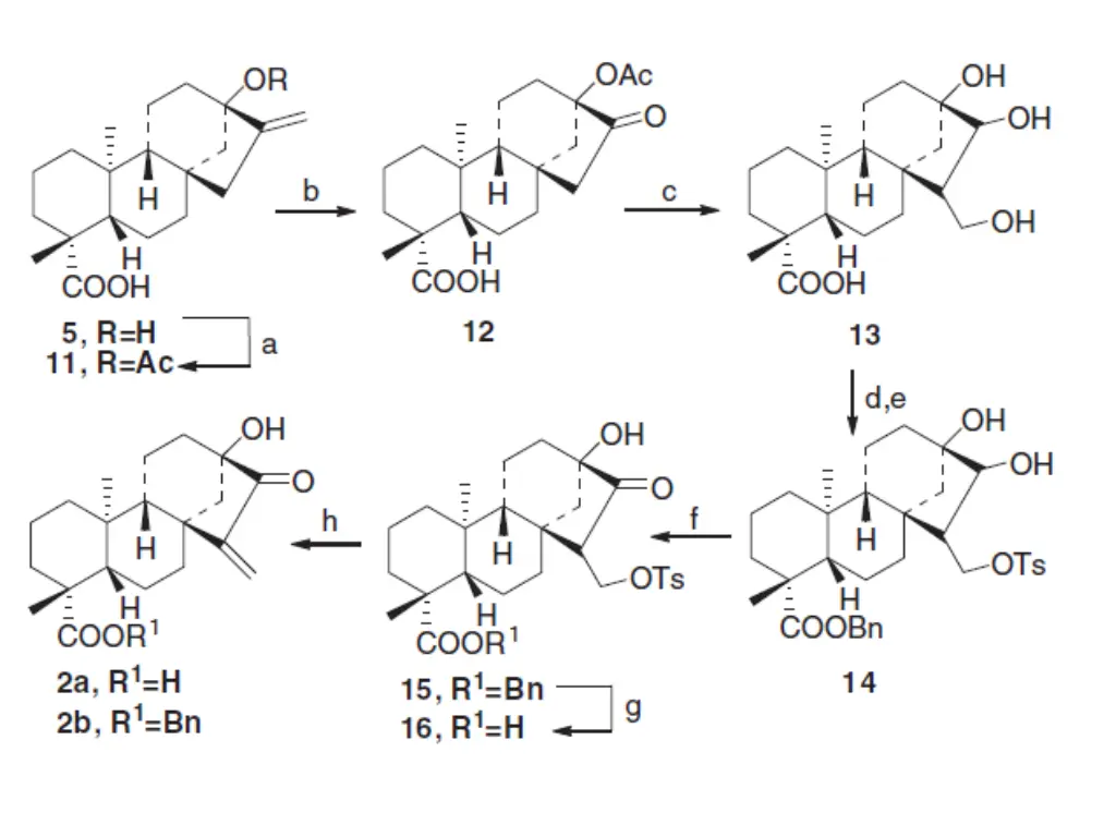 slide14