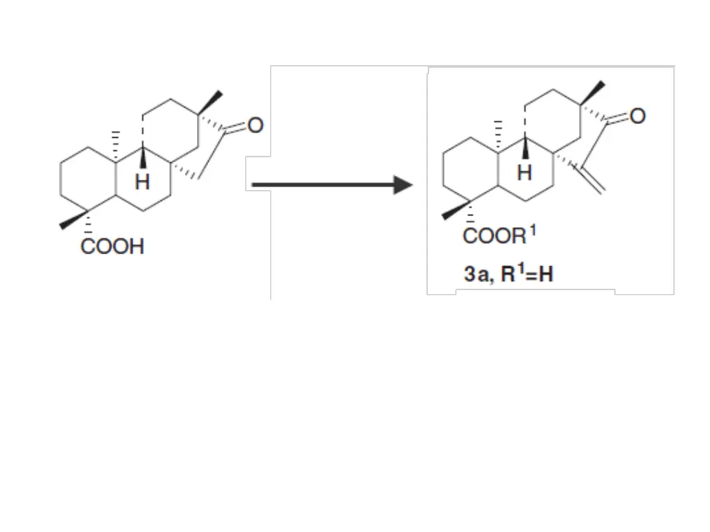 slide16
