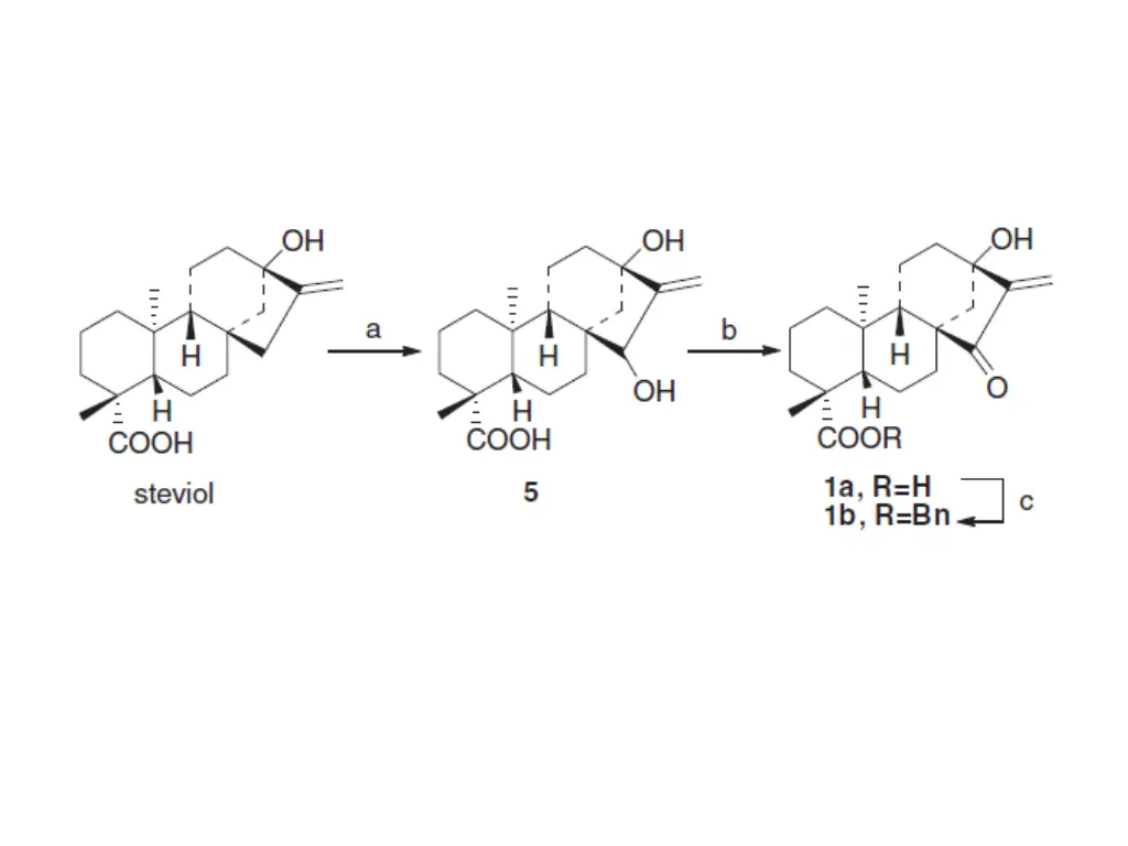 slide5