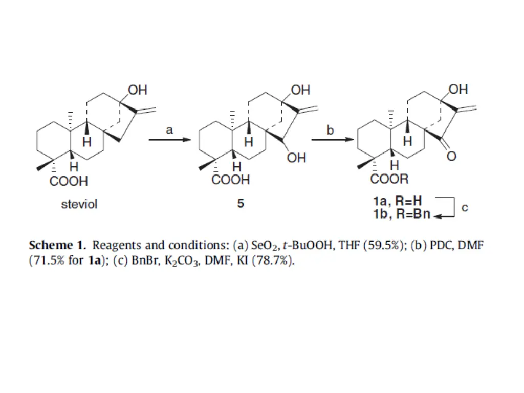slide6