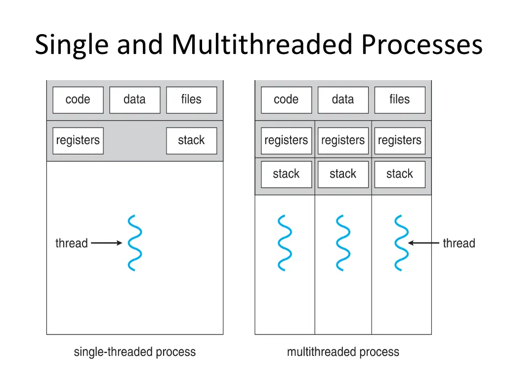 single and multithreaded processes