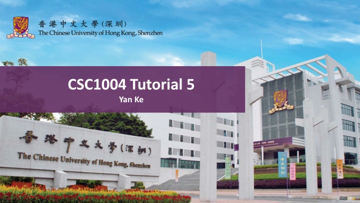 csc1004 tutorial 5 yan ke