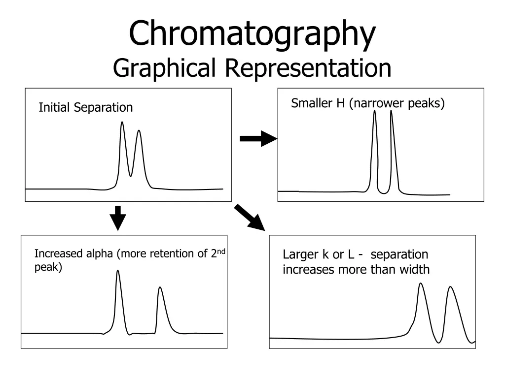 chromatography graphical representation