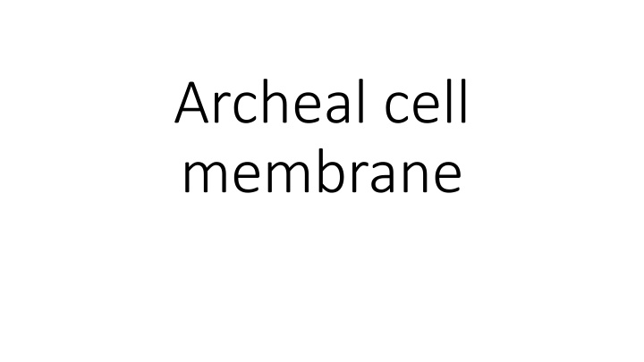 archeal cell membrane