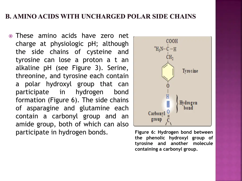 b amino acids with uncharged polar side chains