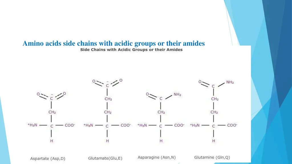 amino acids side chains with acidic groups