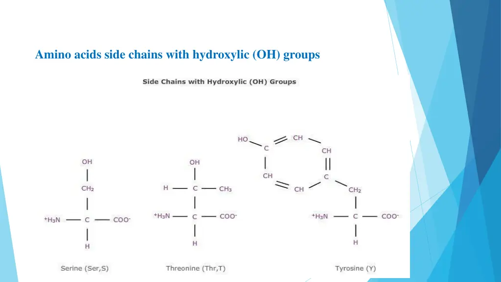 amino acids side chains with hydroxylic oh groups