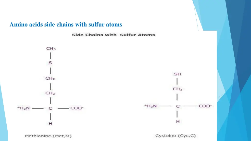 amino acids side chains with sulfur atoms