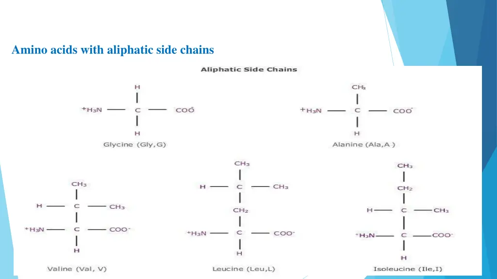 amino acids with aliphatic side chains
