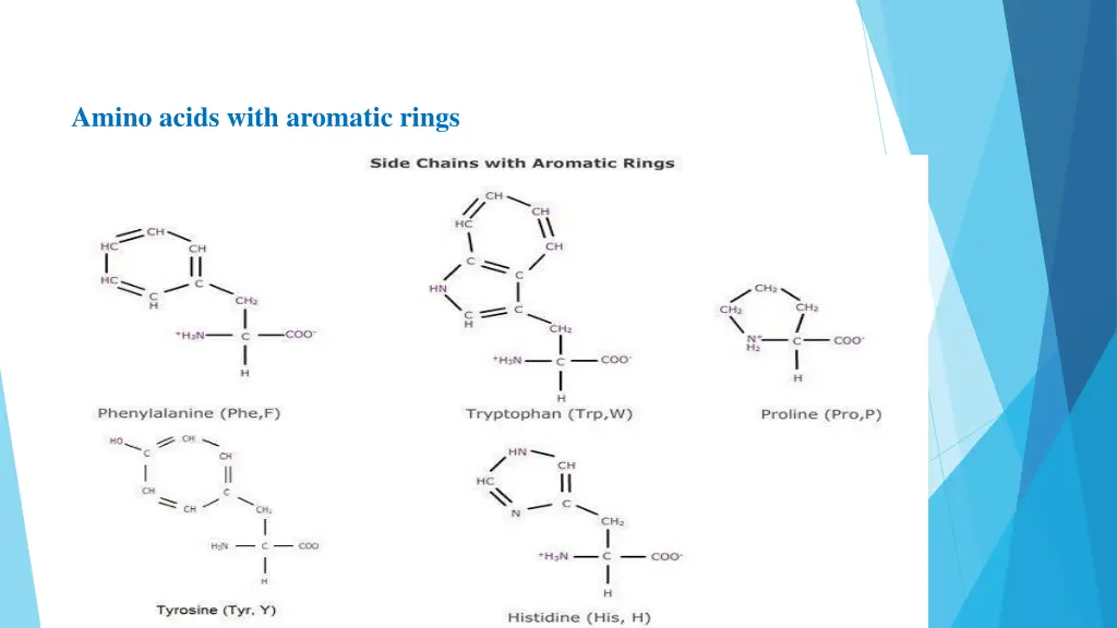 amino acids with aromatic rings