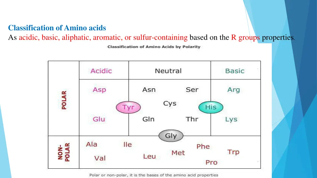 classification of amino acids as acidic basic