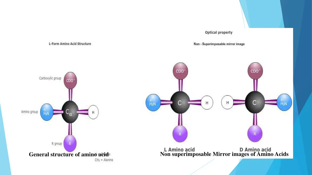 non superimposable mirror images of amino acids