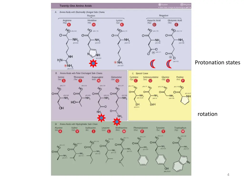 protonation states