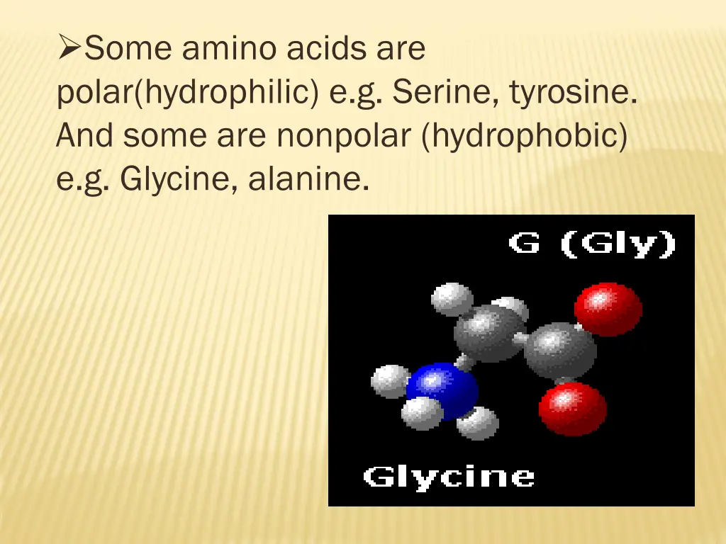 some amino acids are polar hydrophilic e g serine