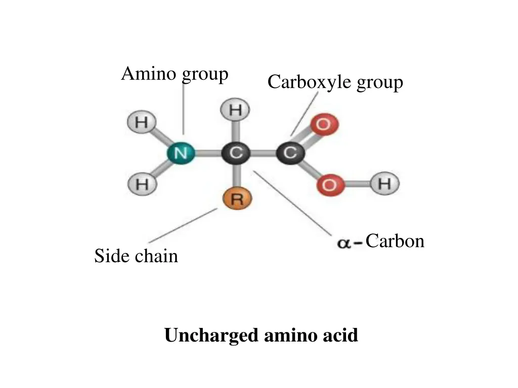 amino group