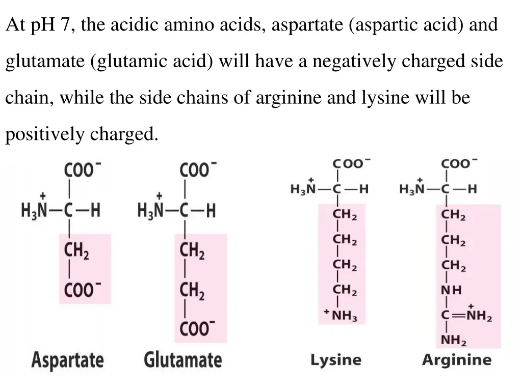 at ph 7 the acidic amino acids aspartate aspartic