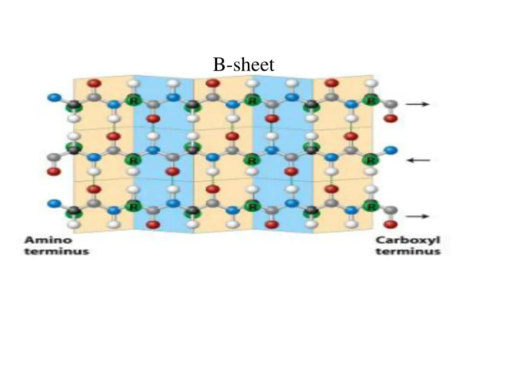b sheet