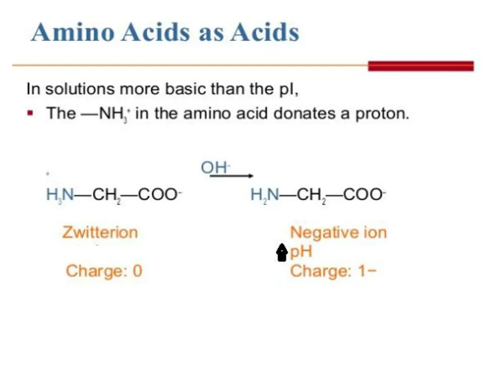 slide24