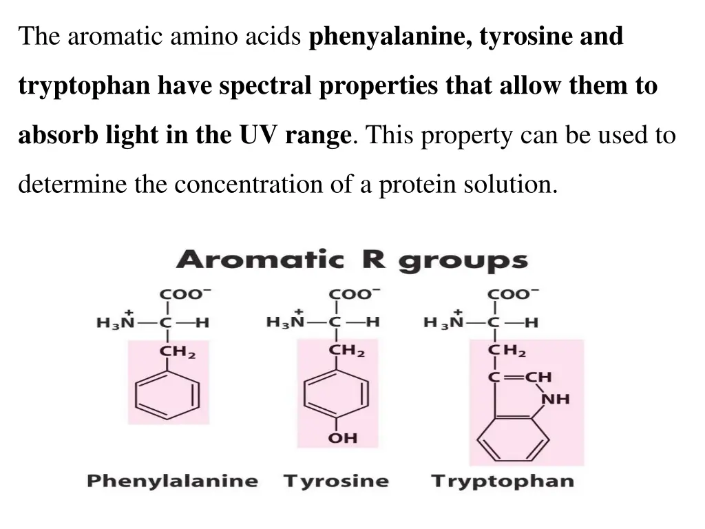 the aromatic amino acids phenyalanine tyrosine and