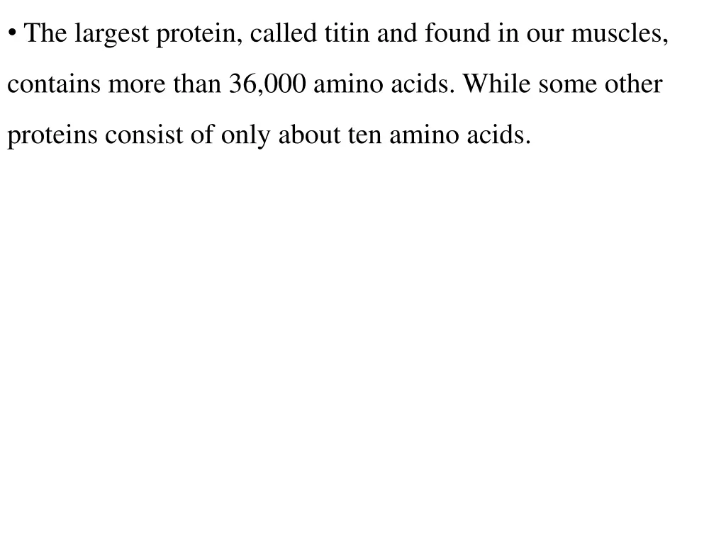 the largest protein called titin and found