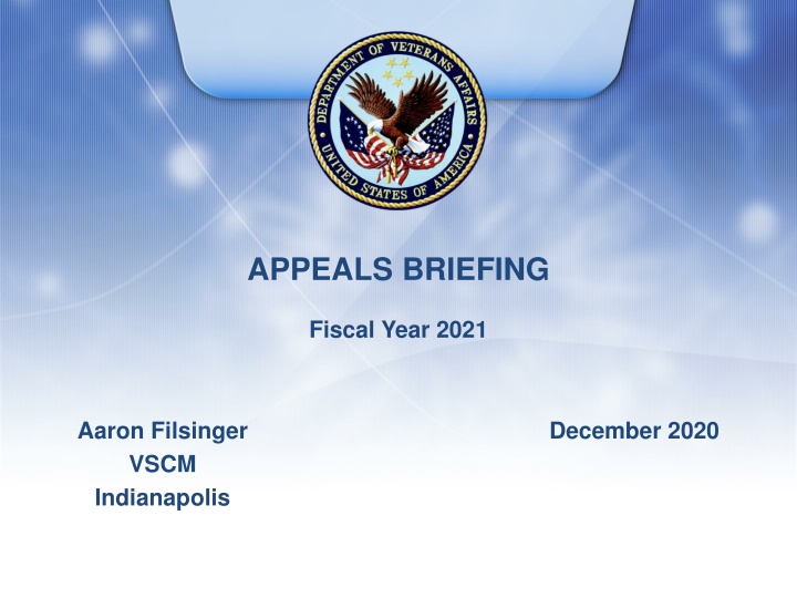 appeals briefing
