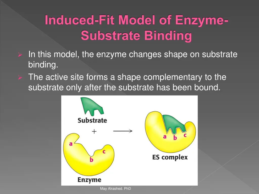 induced fit model of enzyme substrate binding