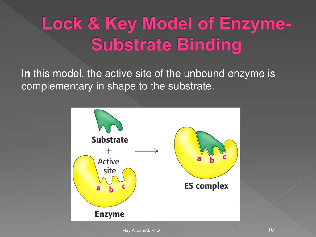 lock key model of enzyme substrate binding