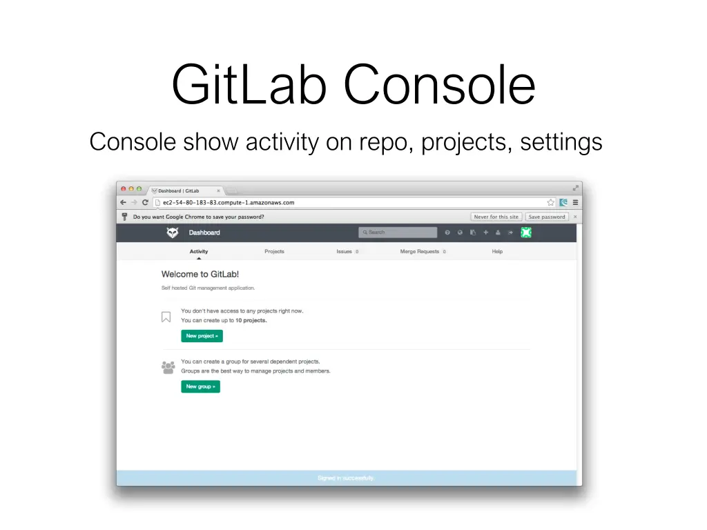 gitlab console console show activity on repo