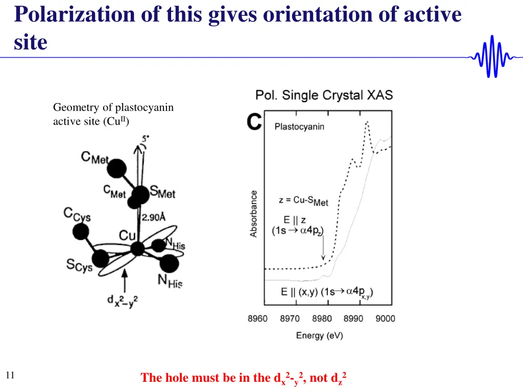 polarization of this gives orientation of active