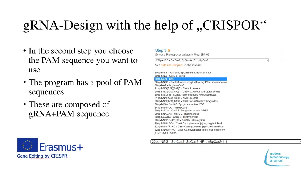 grna design with the help of crispor 1