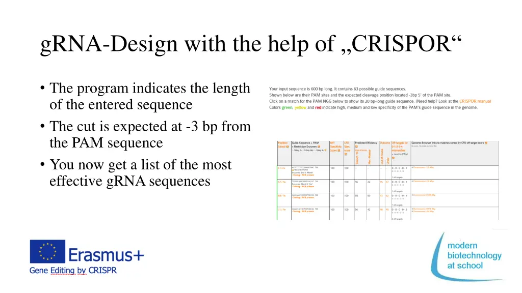 grna design with the help of crispor 2