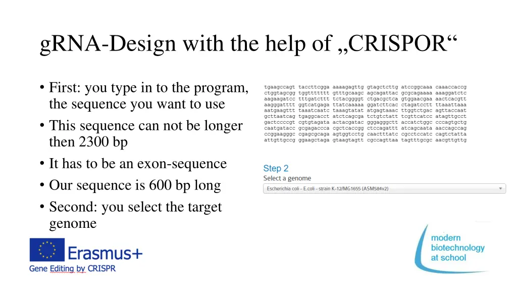 grna design with the help of crispor