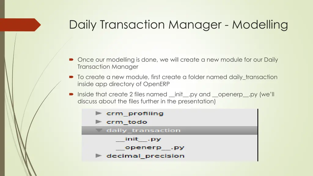 daily transaction manager modelling 1