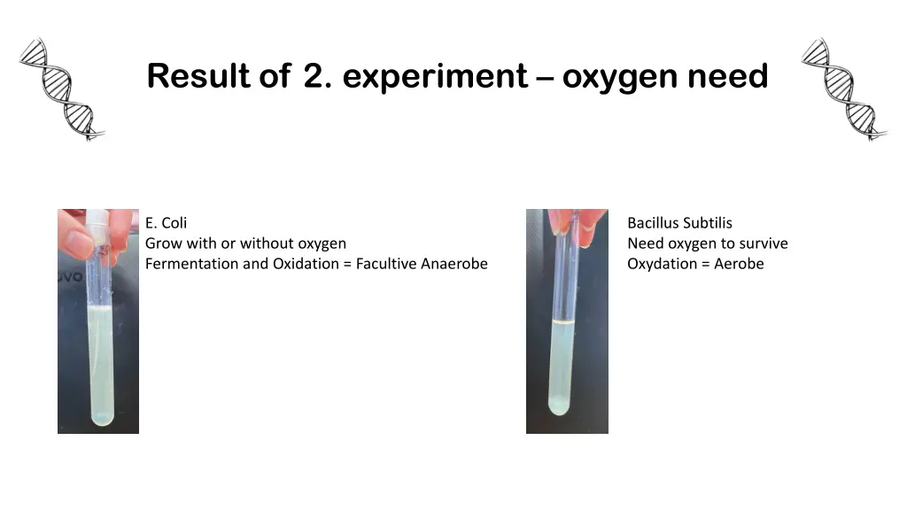 result of 2 experiment oxygen need