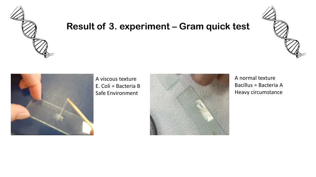 result of 3 experiment gram quick test