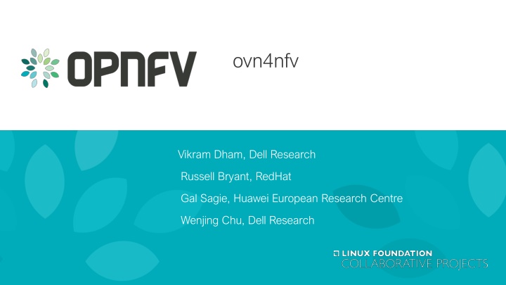 ovn4nfv