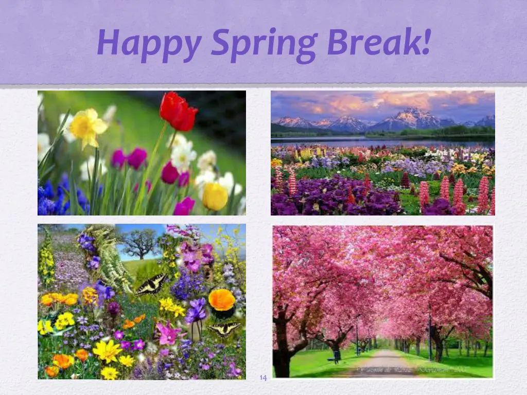 happy spring break