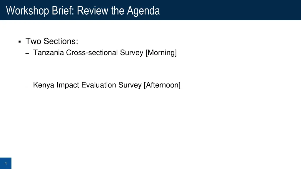 workshop brief review the agenda