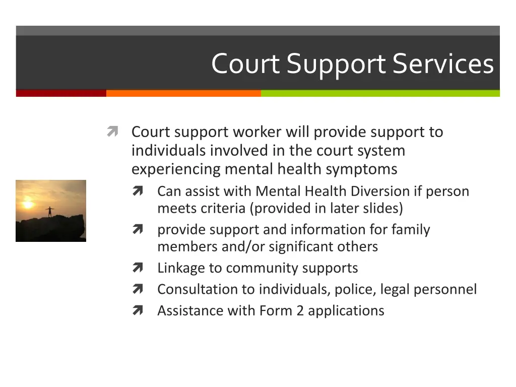 court support services