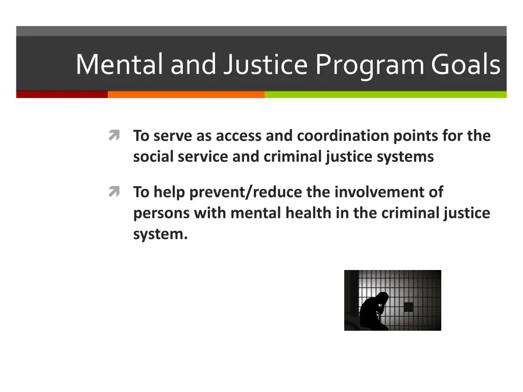 mental and justice program goals