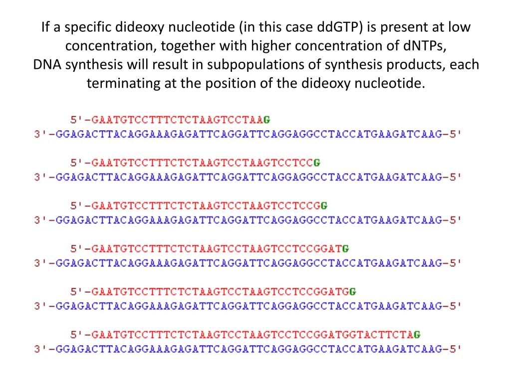 if a specific dideoxy nucleotide in this case